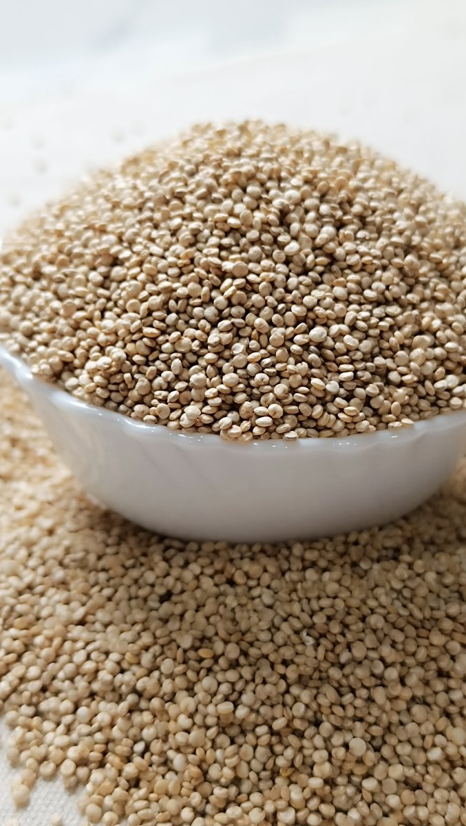 Quinoa Bold View 4