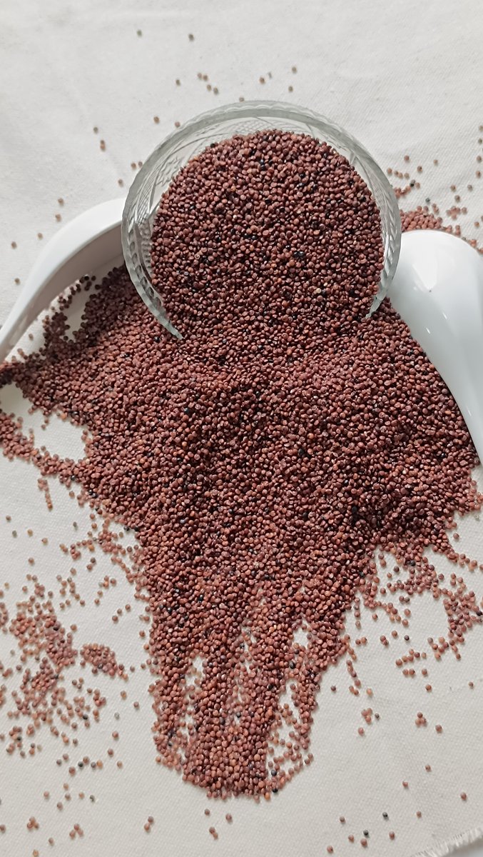 Quinoa Red View 1