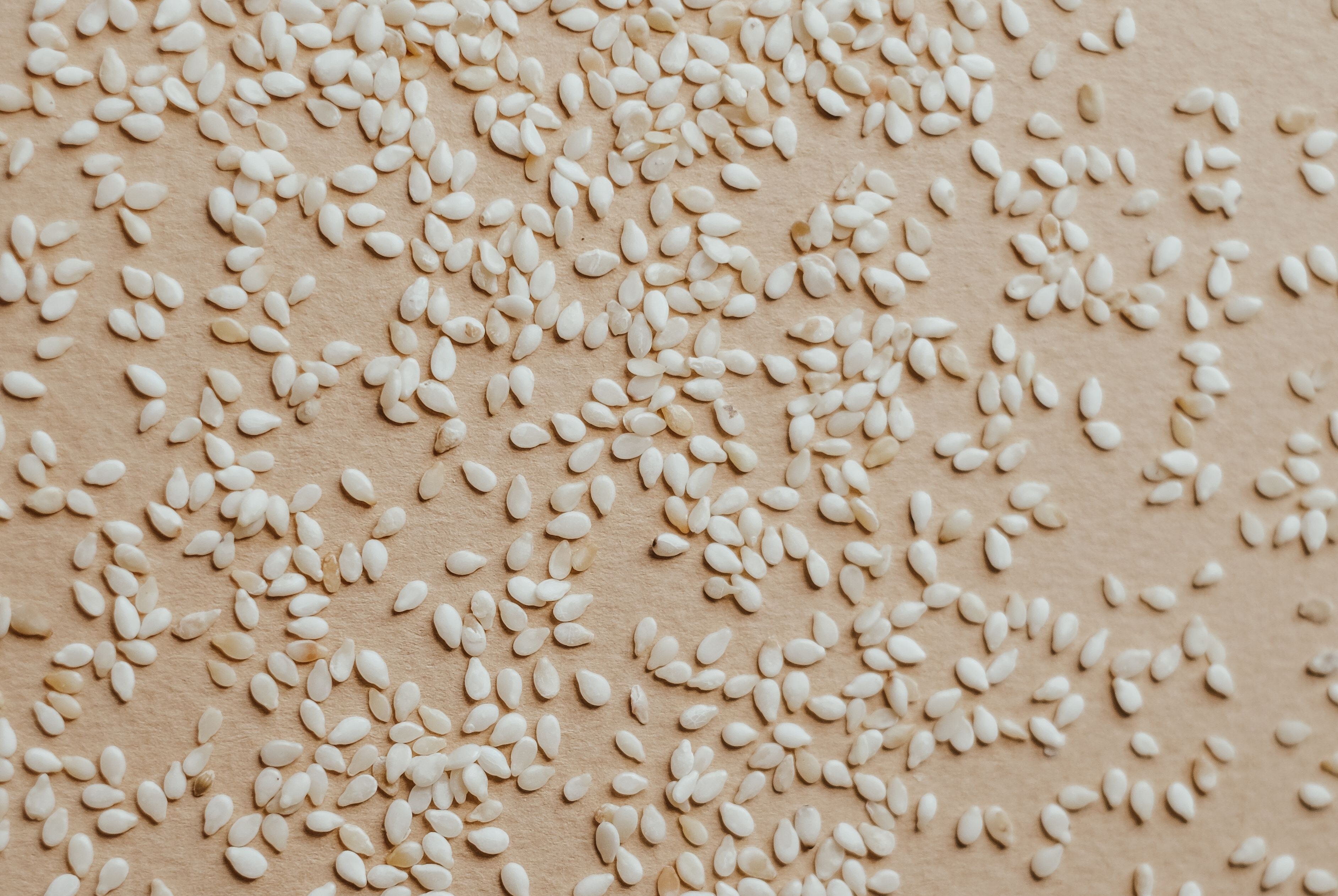 Sesame seeds in wooden bowl
